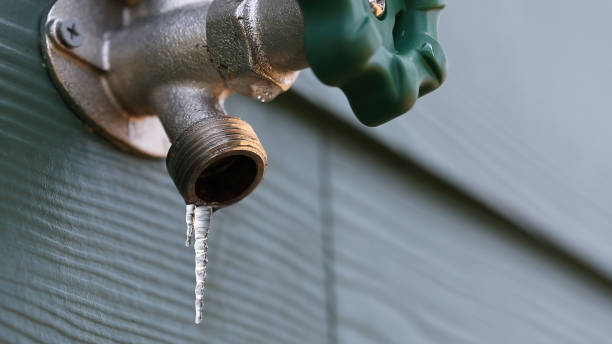 Best Local Plumber Services  in Lake Of The Woods, IL